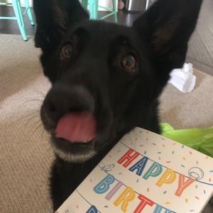 Meet your Posher, Olivia